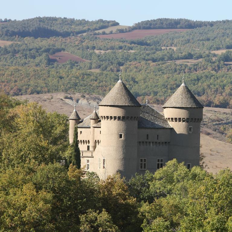 Chateau De Lugagnac Rivière-sur-Tarn Kültér fotó